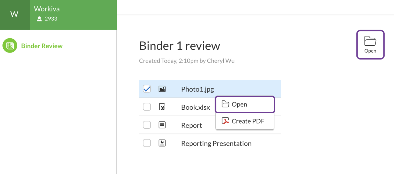Open files in the binder review