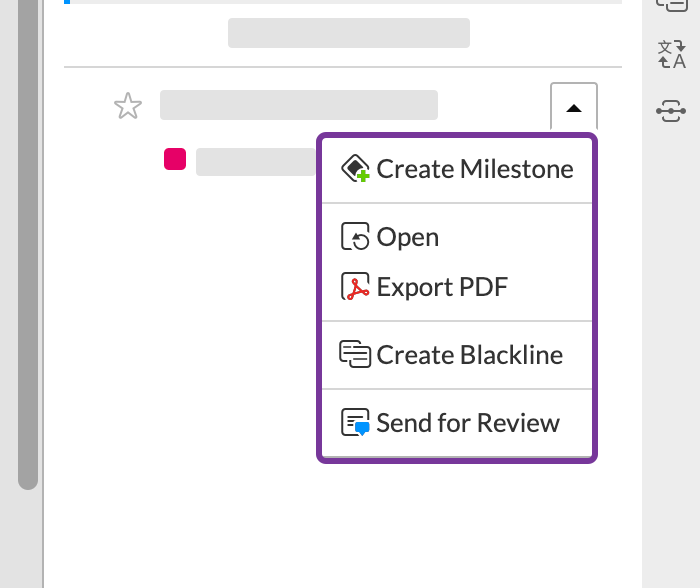 dropdown menu options on revisions in the history panel
