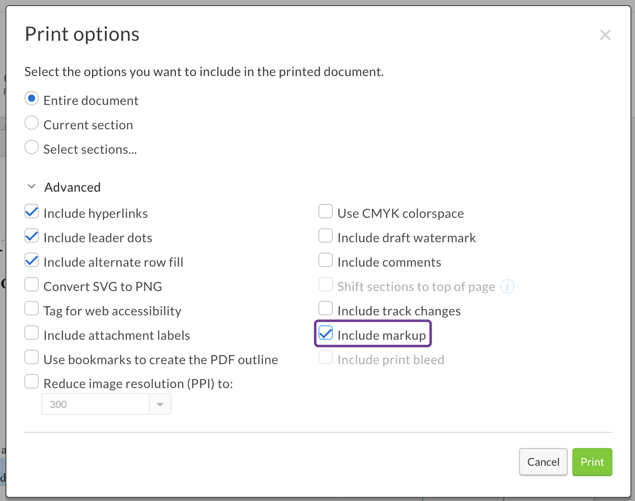 Print options that include markup