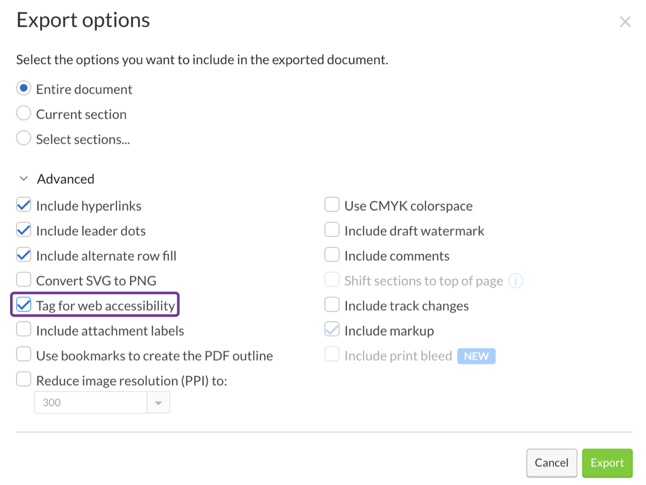 Tag for web accessibility option in export options