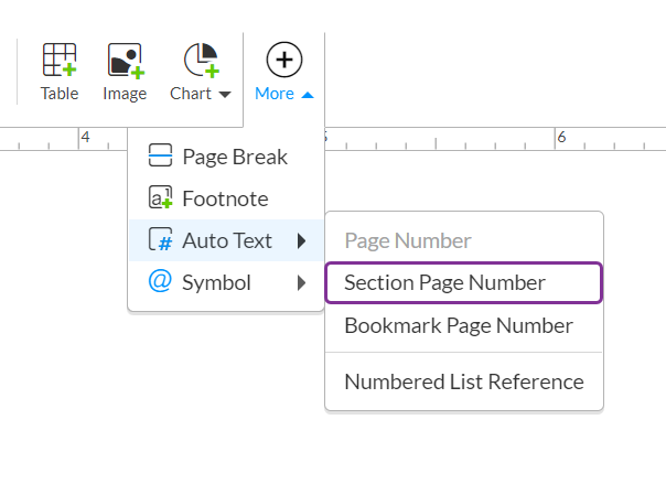 AddSectionPageNumber.png