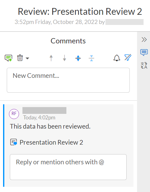 ReviewCommentsPanel.png
