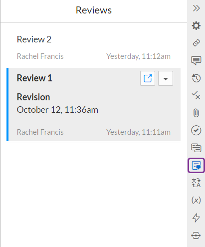ReviewPanel.png