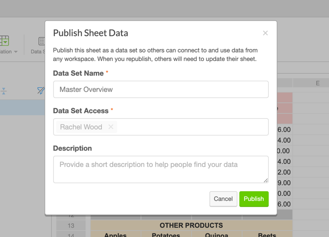 Publish Data Set Modal