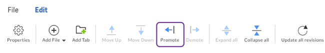 Promote a file using the Edit toolbar.