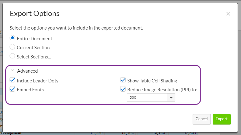 DocumentDOCXexport.png