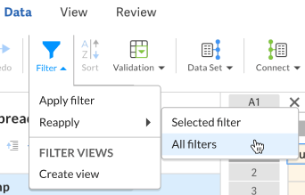 From the Filter menu, select Reapply and then All filters