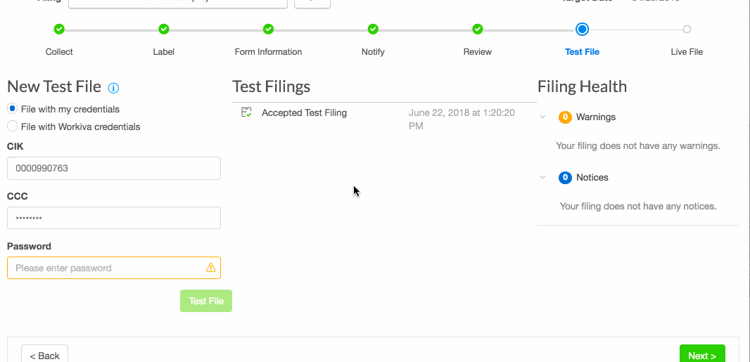Preview a test filing