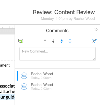 comment review panel