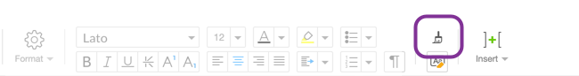 The format painter icon
