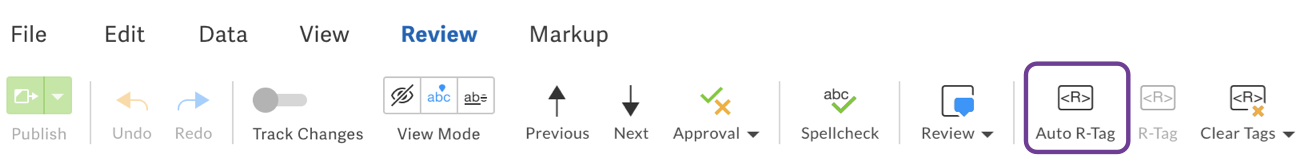 Auto R-tag review toolbar