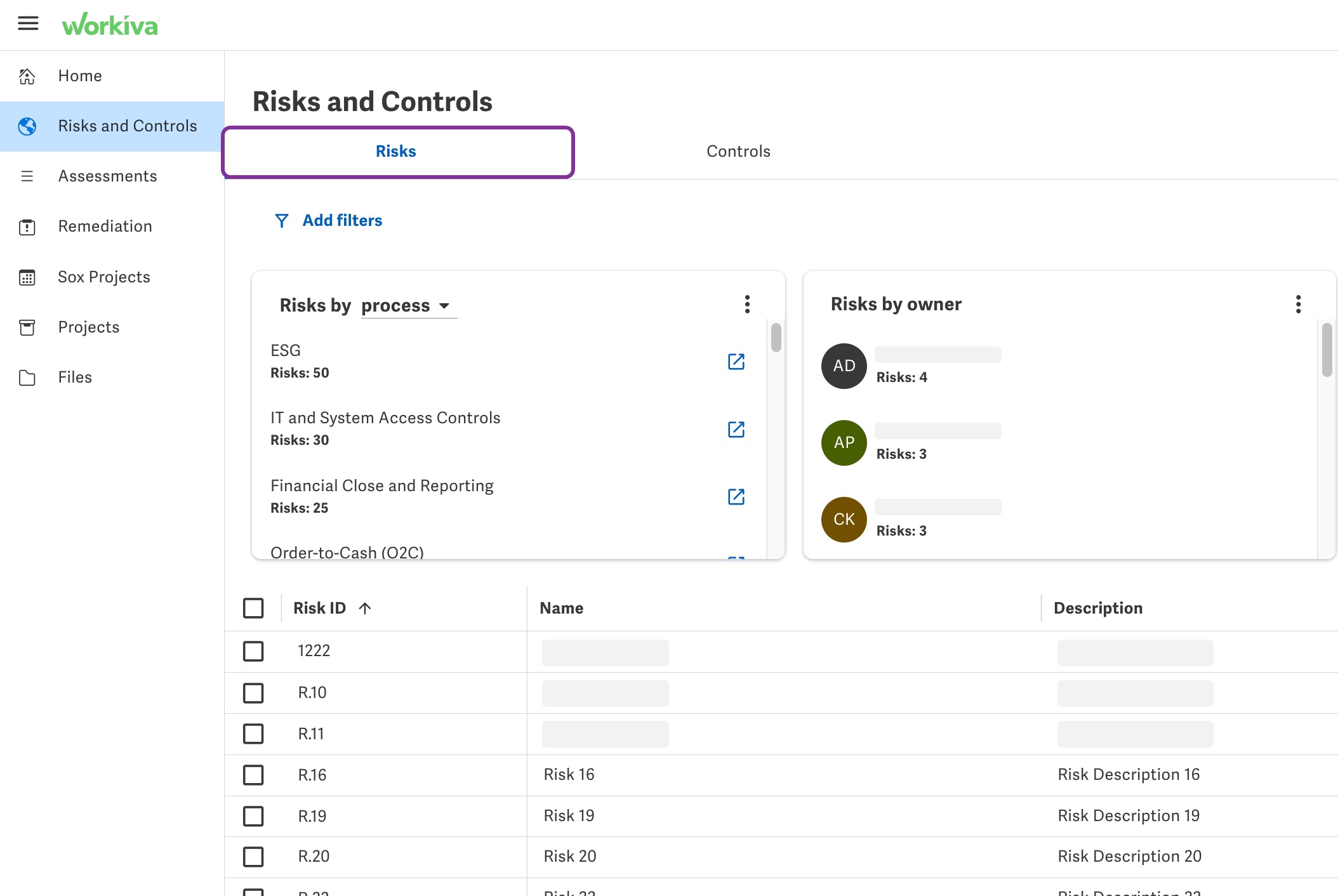 RisksAndControls-RisksTab.png