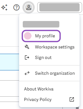 menu-Workspace Settings-My Profile callout.png