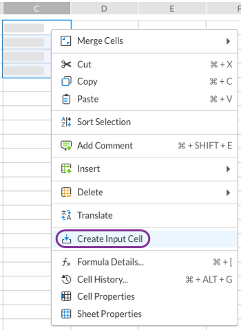 Select create input cell