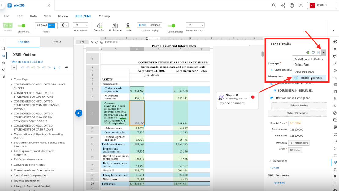 Text Wrapping Option In XBRL Fact Details Panel